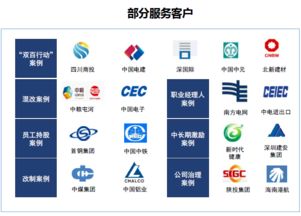 雙百行動(dòng)咨詢服務(wù)產(chǎn)品手冊(cè) 賦能國企改革，驅(qū)動(dòng)價(jià)值提升